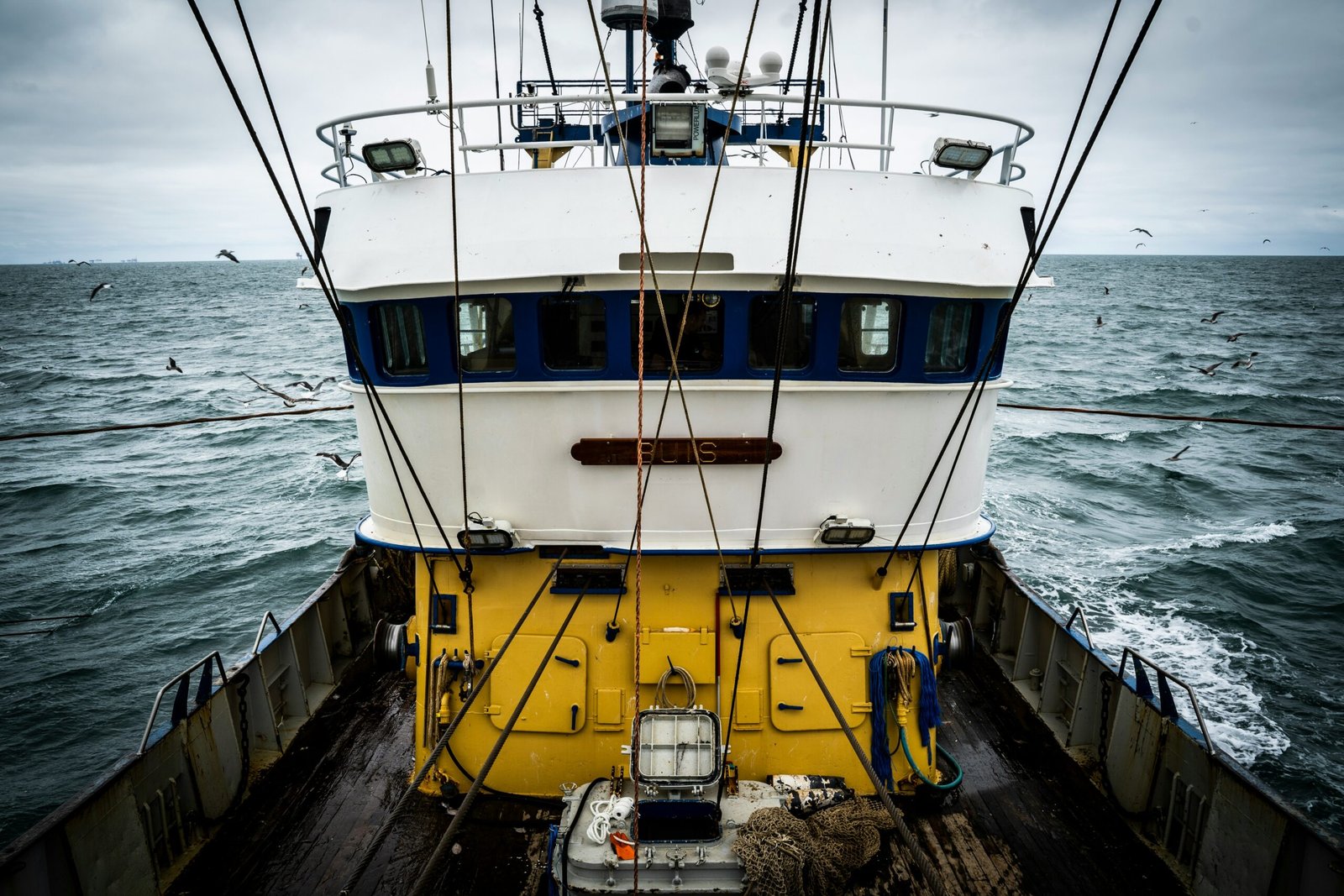 Pesca10